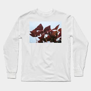 Oxalis Long Sleeve T-Shirt